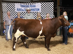 2013 Tennessee River Expo